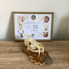 Rare silver medal for sale  STANLEY