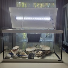 Liter aquarium belichtung gebraucht kaufen  Fuldatal