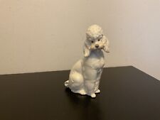 Nao large poodle for sale  ROMFORD
