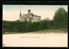 Scheinfeld schloss schwarzenbe gebraucht kaufen  Berlin