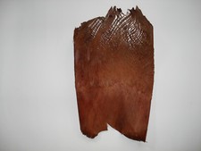 Kokusfaser cocos faser gebraucht kaufen  Osterode