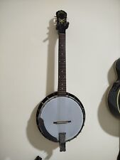 Chitarra banjo mandolino usato  Roma