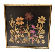 Vintage pressed dried for sale  Huntington Station