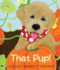 Pup for sale  Little Falls
