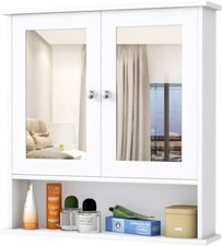Double mirror door for sale  MANCHESTER