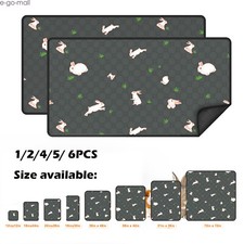 Washable guinea pig for sale  USA