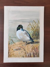 Vintage original watercolour for sale  BOURNEMOUTH