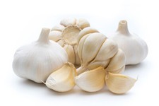 Ungarische pflanzknoblauch zum gebraucht kaufen  Lehrte
