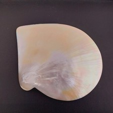 Mother pearl bowl for sale  INVERNESS