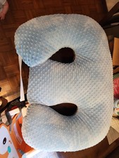 Twin pillow blue for sale  Youngstown