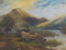 19th scottish highland for sale  Farmington