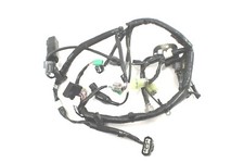 2023 kawasaki kx250 for sale  Mayfield