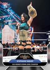 Topps wwe wrestling gebraucht kaufen  Neu Wulmstorf