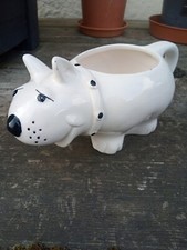 Vintage white bull for sale  TIVERTON