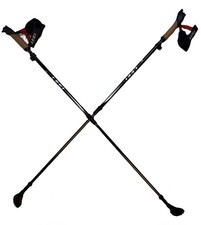 Leki nordic walking for sale  Altoona