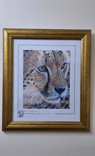 Quiet contemplation stephen for sale  DUNDEE
