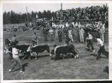 1953 press photo for sale  Memphis