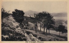 Verbania miazzina alpi usato  San Germano Vercellese