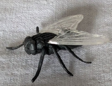 Mosca moscone scherzo usato  Peveragno