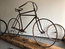 Selten velocipede 1893 gebraucht kaufen  Klettgau