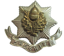 Cheshire regiment insigne d'occasion  France