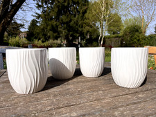 orchidea vaso usato orchidea vaso usato Monte Porzio Catone