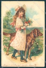 Animali cane setter usato  Gambolo