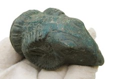 rams head for sale  DIDCOT