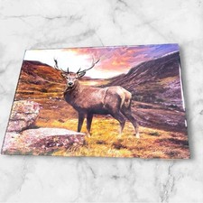 Glass cutting board for sale  INVERNESS