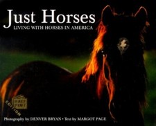 Horses living horses for sale  USA