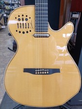 Godin multiac spectrum usato  Spedire a Italy