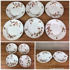 Pieces white rosehip for sale Pieces white rosehip for sale  OKEHAMPTON