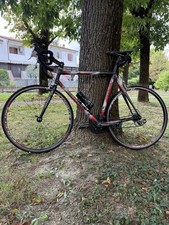 Bicicletta corsa colnago usato  San Giorgio di Piano