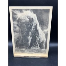 Marble etched buffalo for sale  Sioux Falls