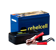 Rebelcell lithium ionen gebraucht kaufen  Salzgitter
