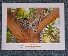 leopardenbaby gebraucht kaufen leopardenbaby gebraucht kaufen Hamburg