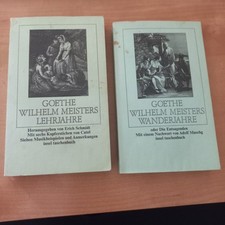 Goethe wilhelm meisters gebraucht kaufen  Bergisch Gladbach