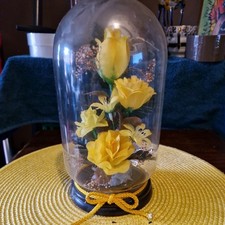 Glass display cloche for sale  BROMLEY