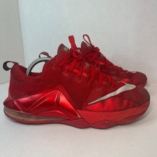 Nike lebron low for sale  Franklin