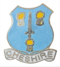 Cheshire county pin for sale  CULLOMPTON