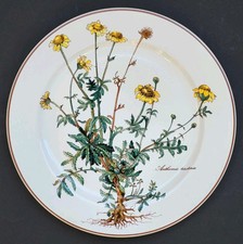Sublime assiette plate d'occasion  Le Lavandou