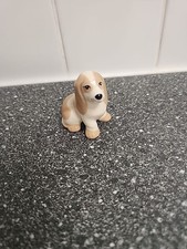 Szeiler small puppy for sale  BIRMINGHAM