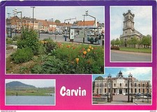 Carvin multivues fleurs d'occasion  Fruges