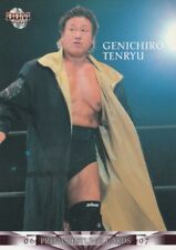 Genichiro tenryu 2006 for sale  Whiting