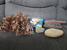 Joblot aquarium fish for sale  LEEDS