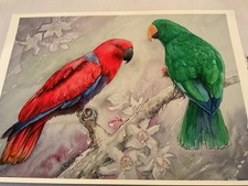 Limited edition signed for sale  Cordova