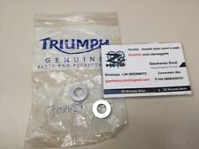 T2081629 originale triumph usato  Conversano