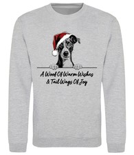 Italian greyhound christmas for sale  PONTYPRIDD