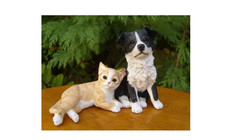 Border collie with usato  Spedire a Italy