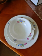 Rosenthal helena kaffeegedeck gebraucht kaufen  Potsdam